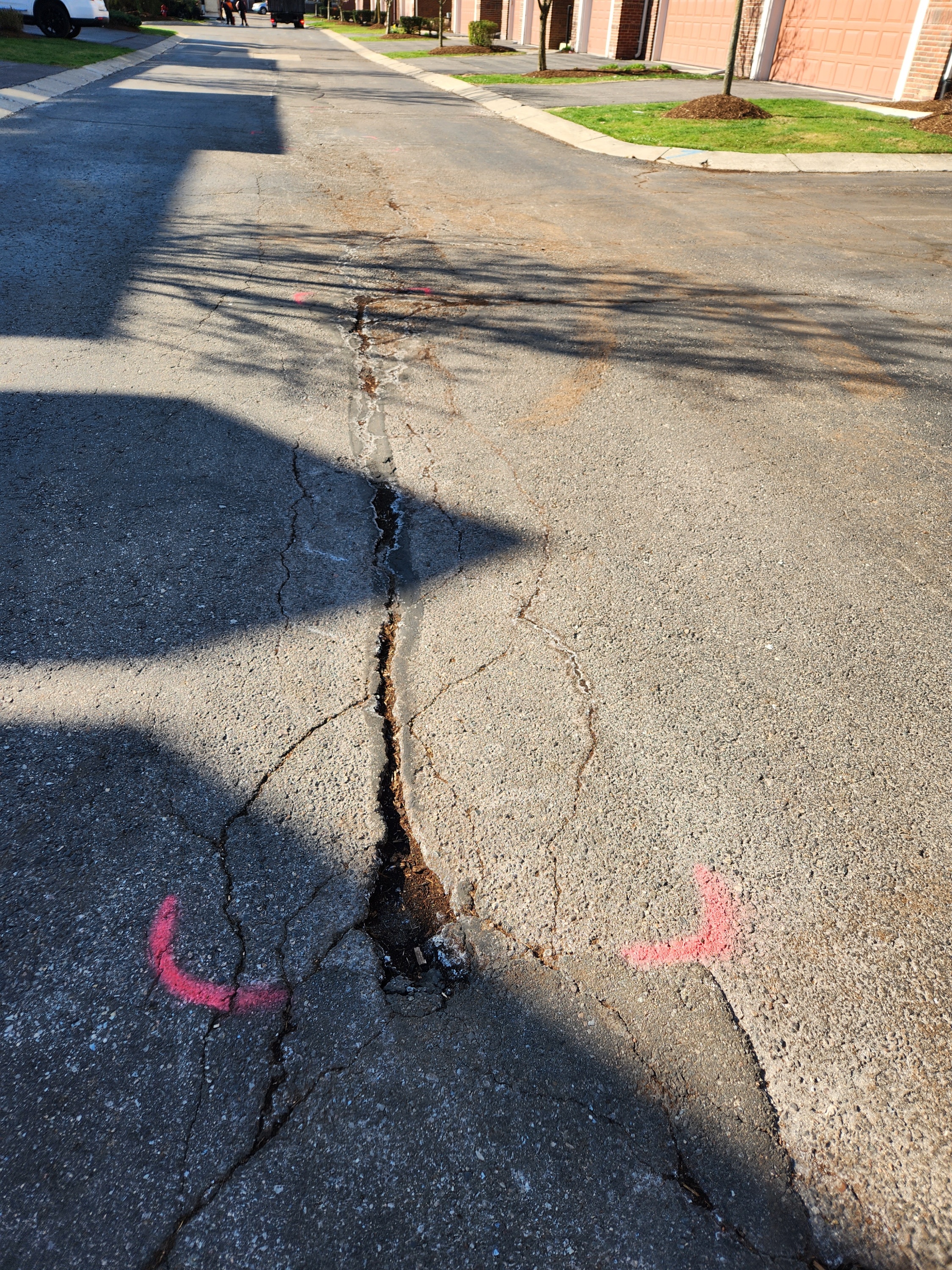 Cracked Road